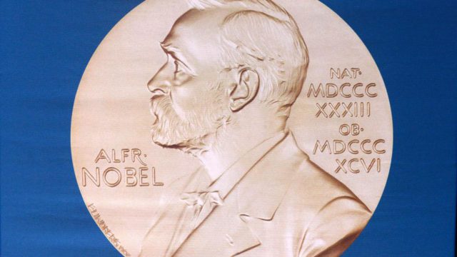 nobel portada