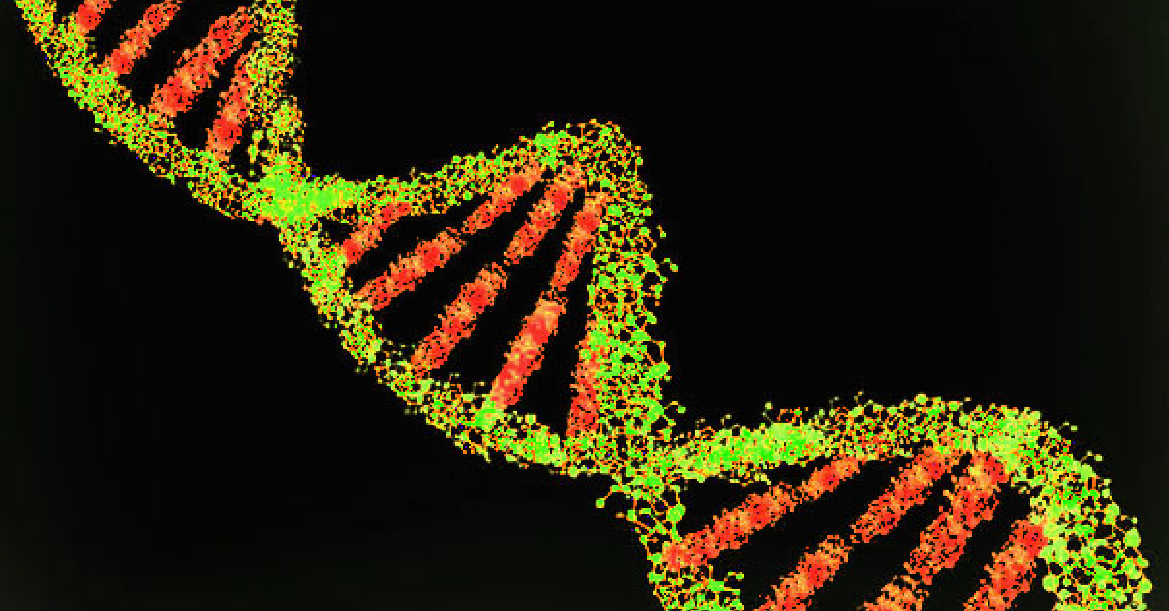Genoma humà