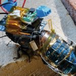 Cuca robot