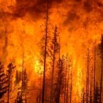 Canadà és un país amb molta vegetació, on els incendis forestals són comuns sobretot a l'estiu. A la foto, un incendi a la província canadenca d'Alberta el 2009. (Cameron Strandberg / Wikimedia Commons)