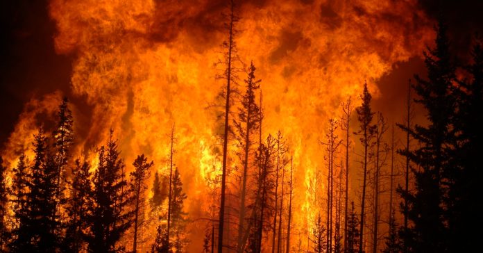 Canadà és un país amb molta vegetació, on els incendis forestals són comuns sobretot a l'estiu. A la foto, un incendi a la província canadenca d'Alberta el 2009. (Cameron Strandberg / Wikimedia Commons)