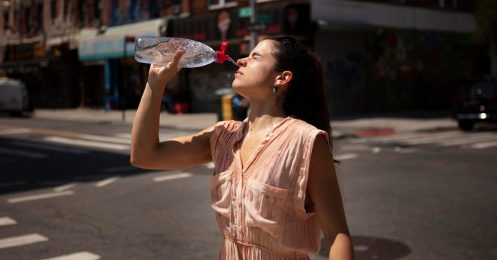 Amb les altes temperatures que es registren aquest inici de l'estiu augmenta el risc de patir un cop de calor (Freepik)