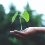 Els projectes presentats als Premis Blanquerna Impulsa promouen una millora del planeta Akil Mazumder/Pexels