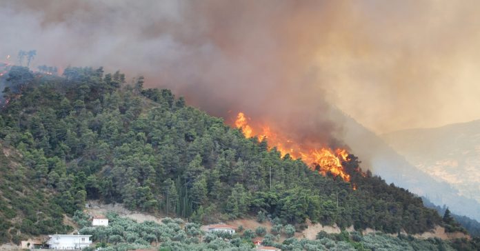 La Mediterrània està patint intensos incendis forestals. A la foto, imatge d'arxiu d'incendi forestal a Grècia (Lotus R/WikiCommons)