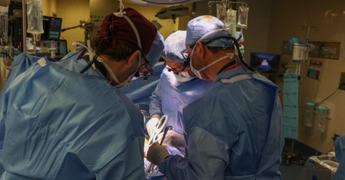 Els cirurgians de l'Hospital General de Massachusetts realitzen la cirurgia d'un ronyó de porc modificat genèticament trasplantat a un ésser humà viu (Massachusetts General Hospital)