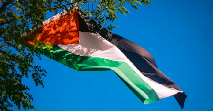 La bandera de Palestina (pexels/pok rie)