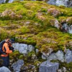 La península Antàrtica s'ha “reverdit” considerablement en els darrers anys (Dan Charman/Nature)