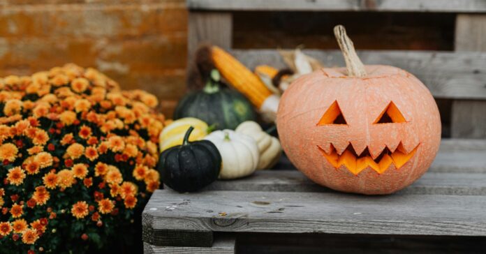 Les carbasses són la típica decoració de la festa de Halloween (Pexels Karolina Grabowska)