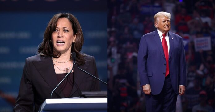 Kamala Harris i Donald Trump, candidats a la presidència dels Estats Units (Gage Skidmore / Wimikedia Commons)