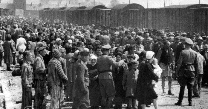 Selecció de presos a Auschwitz II-Birkenau (maig-juny de 1944)/Bernhard Walter/Wikimedia Commons