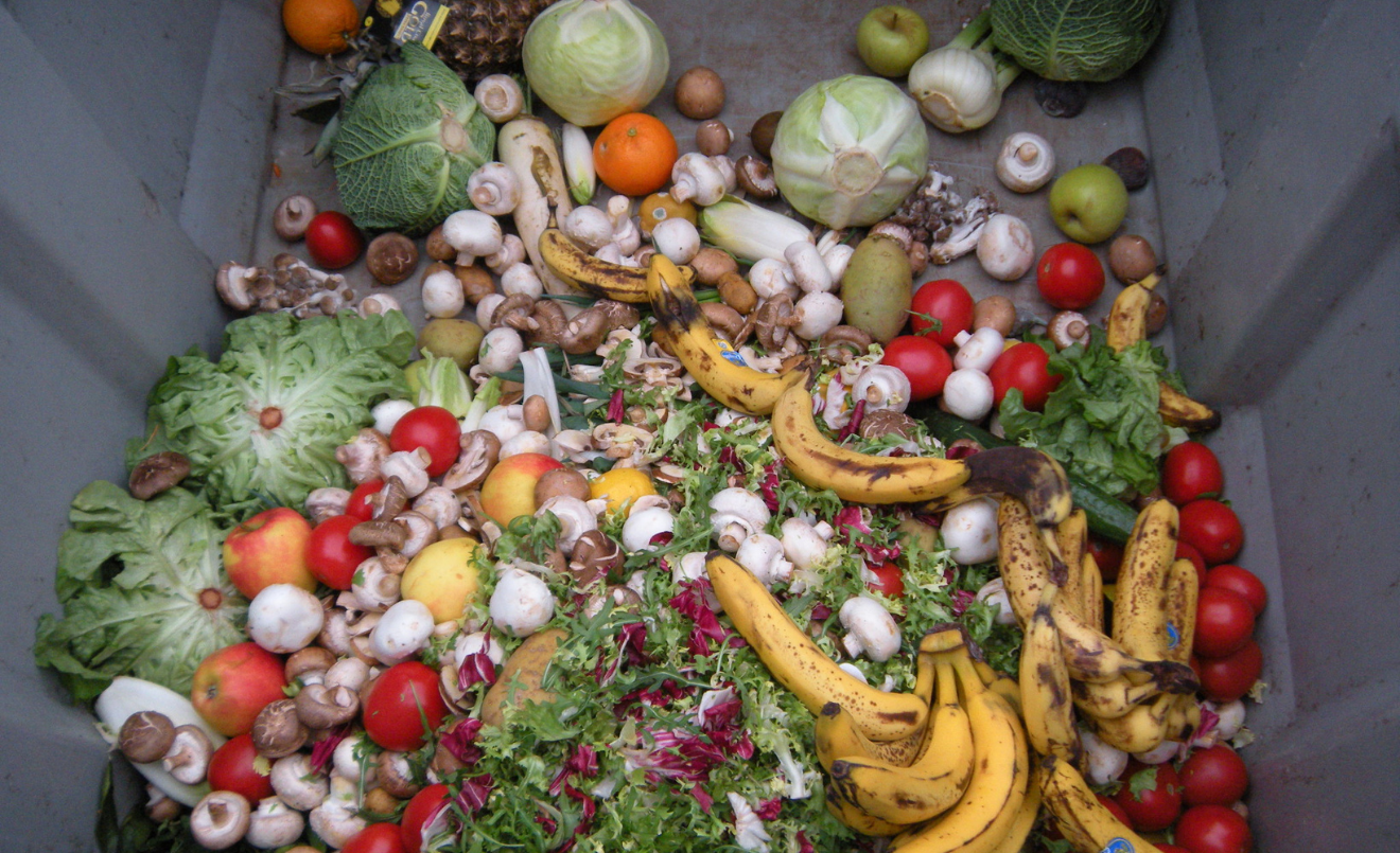 Verdures i fruites malbaratades en un contenidor