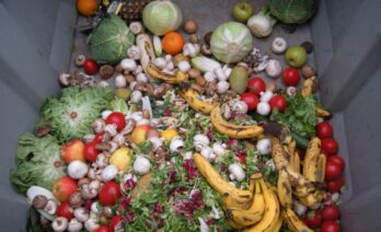 El malbaratament alimentari fa referència a tots els aliments que es perden o es llencen al llarg de tota la cadena (Wikipèdia)