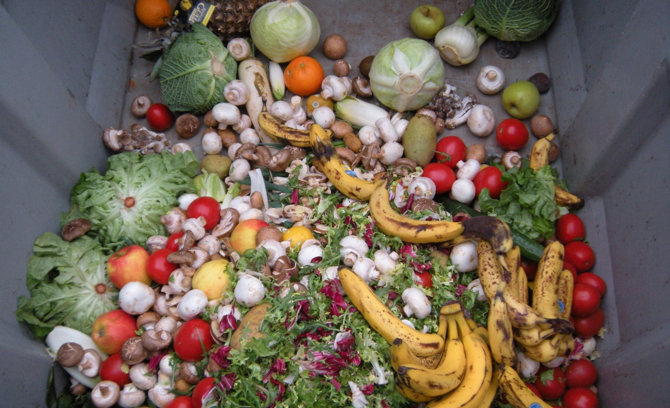 El malbaratament alimentari fa referència a tots els aliments que es perden o es llencen al llarg de tota la cadena (Wikipèdia)