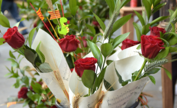 Roses de Sant Jordi (Pixabay)