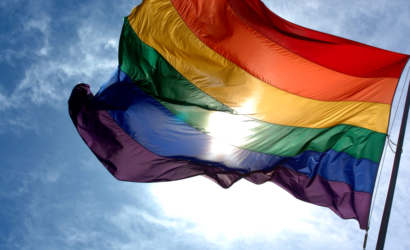 La bandera LGTB+ és el símbol univrsal de l'orgull i la diversitat sexual/Wikimedia Commons